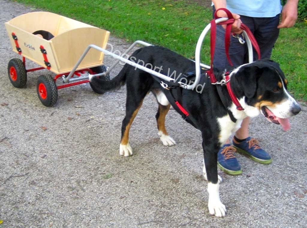 Pulka Zugstange Bollerwagen DOGSPORTWORLD